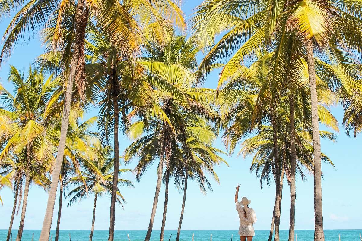 palm tree woman raising right hand while doing peace hand gesture arecaceae